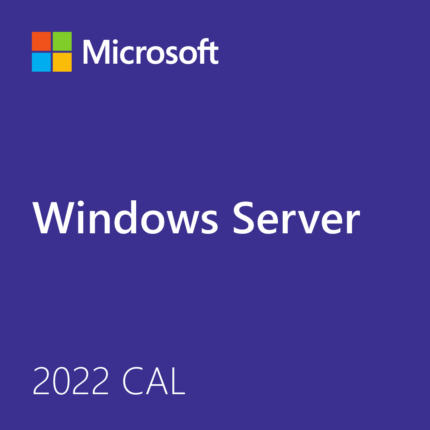 Microsoft Windows Server 2022 - 1 User Client Access License (CAL)